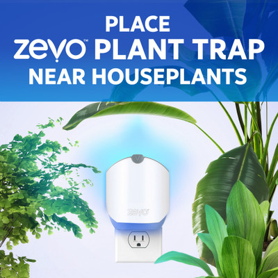 Place Zevo Plant Trap near houseplants.