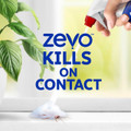 Zevo Trap and Kill Foam kills on contact.